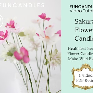 SAKURA FLOWER candle making course • japanese sakura, healthy beeswax flower, detailed wax flower candle recipe, good for beginners