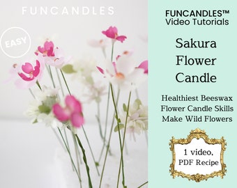 SAKURA FLOWER candle making course • japanese sakura, healthy beeswax flower, detailed wax flower candle recipe, good for beginners