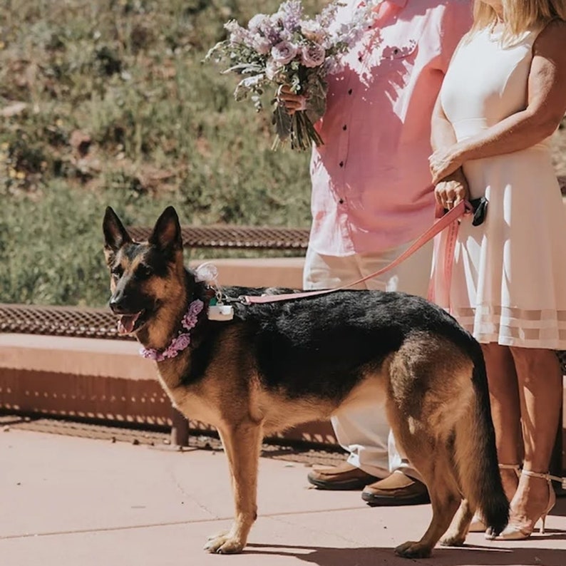 Personalisierte Ringbox für Hunde, originelle Ringhalterhülle für Ihren besten vierbeinigen Freund Originelle Hochzeit Bild 10