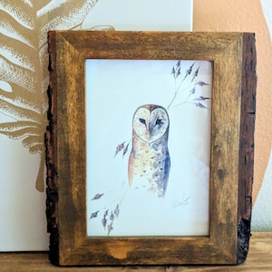 Barn Owl and Blue Vervain Flowers Art Print