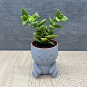 Peut inclure: Une petite plante succulente verte dans un pot gris en forme de personnage souriant. Le pot a des bras et des jambes, ce qui lui donne un aspect ludique. Les feuilles de la plante sont d'un vert vif, contrastant avec la couleur du pot.