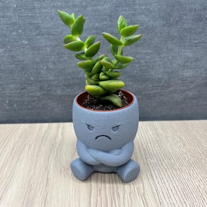 Könnte beinhalten: Eine kleine Sukkulentenpflanze in einem grauen Topf im Cartoon-Stil mit verschränkten Armen und einem wütenden Gesicht. Die Pflanze hat grüne Blätter und ist in braune Erde getopft. Der Topf steht auf einer Holzoberfläche.