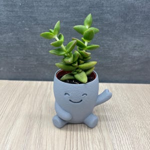 Peut inclure: Un petit pot de fleurs gris souriant en forme de personnage de dessin animé, contenant une plante succulente verte. Le pot a un visage joyeux et des bras, avec un bras levé. La plante a des feuilles vertes et est plantée dans de la terre.