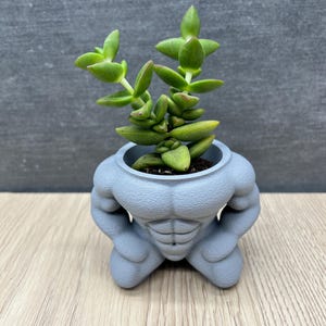 May include: A small succulent plant in a gray, muscular body-shaped planter. The plant has bright green leaves with reddish edges. The planter has a detailed design of a muscular torso and arms.