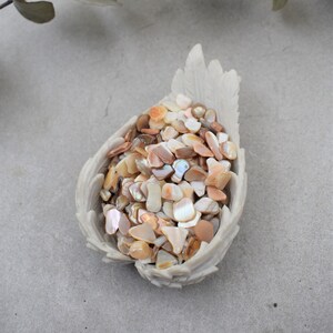 Natural Mixed Seashell Chips (100g) Small