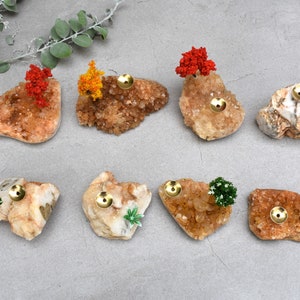 May include: Ten small, irregularly shaped, orange-brown crystal clusters with gold metal accents. Each cluster has a small, green or red plant or flower on top.