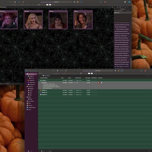 May include: A computer screen displaying a film editing program with a list of chapters and a storyboard of four images. The storyboard shows four characters from the movie Hocus Pocus. The background is a black and white spiderweb pattern.