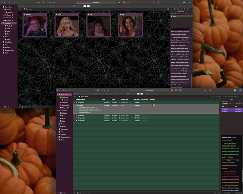 May include: A computer screen displaying a film editing program with a list of chapters and a storyboard of four images. The storyboard shows four characters from the movie Hocus Pocus. The background is a black and white spiderweb pattern.