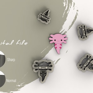 Kawaii Axolotl Charm, Polymer Clay Charms, Axolotl Keychain, Keyring,  Gifts, Jewelry, Stitch Marker, Progress Keeper 
