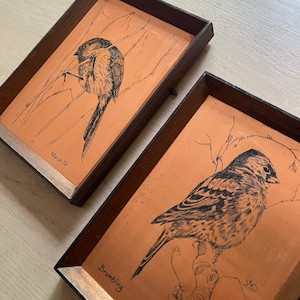Op de afbeelding: Twee ingelijste kunstwerken met pen- en inkttekeningen van vogels. De vogels zijn afgebeeld op takken tegen een koperkleurige achtergrond. De lijsten zijn van donker hout. Eén is gelabeld "Marsh Tit" en de andere "Brambling".