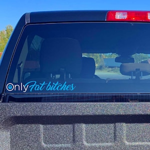 Personalizable OnlyFans Parody Decals / Only Farts / Only Facts / Funny Customizable Decals / Large, High Quality Oracle 651 Vinyl Decals