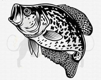 Crappie Fishing Svg, Fishing Svg, Crappie Fish Svg, Crappie Clipart, Crappie Vector, Crappie Cricut, Crappie  Cut file, Fish Shirt Svg Png