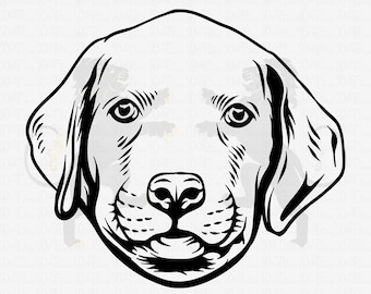 Puppy Labrador Svg, Labrador Retriever Svg, Labrador Clipart, Labrador Cricut, Labrador Cutfile, Labrador Vector, Dog Mom svg Imprimable png