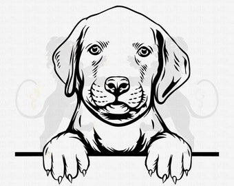 Puppy Labrador Svg, Labrador Retriever Svg, Labrador Clipart, Labrador Cricut, Labrador Cutfile, Labrador Vector, Dog Mom svg Imprimable png