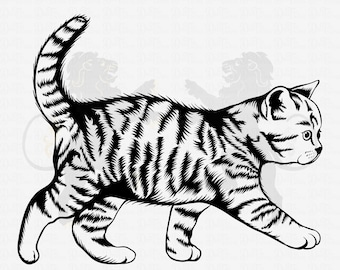 May include: Black and white line art illustration of a walking kitten. The kitten has a striped pattern and is looking to the right.