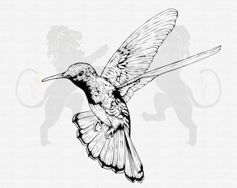Hummingbird Svg, Hummingbird Clipart, Hummingbird Vector, Hummingbird Cutfile, Bird Svg, Hummingbird Cricut, Hummingbird Printable Png Pdf