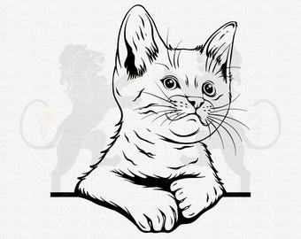 May include: A black and white line drawing of a kitten looking to the right. The kitten is sitting with its paws crossed in front of it.