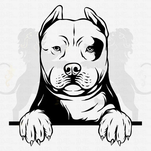Pitbull Svg American Pit Bull Svg Pitbull Clipart Pitbull - Etsy