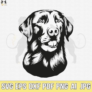 Labrador Svg, Labrador Retriever Svg, Labrador Clipart, Labrador Cricut, Labrador Cutfile, Labrador Vector, Black Labrador Svg, Dog Mom Svg