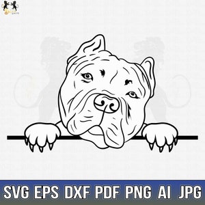 Pitbull Svg, American Pit Bull Svg, Pitbull Clipart, Pitbull Vektor, Pitbull Cricut, Dog Paw Svg, Pitbull Cut File, Dog Svg Pitbull Peeking