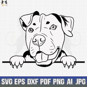 Pitbull Svg, American Pit Bull Svg, Pitbull Clipart, Pitbull Vector, Pitbull Cricut, Dog Paw Svg, Pitbull Cut File, Dog Svg Pitbull Peeking