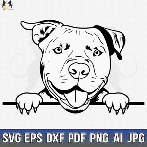 Pitbull Svg, American Pit Bull Svg, Pitbull Clipart, Pitbull Vector, Pitbull Cricut, Dog Paw Svg, Pitbull Cut File, Dog Svg Pitbull Peeking