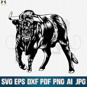 Bull Svg, Bull Clipart, Bull Vector, Bull Cut file, Bull Shirt, Bull Cricut, Bull Head Svg, Raging Bull Svg, Angry Bull Svg, Bull Skull Svg