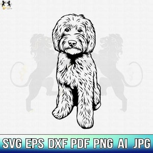 Labradoodle Svg, Labradoodle Clipart, Labradoodle Cricut, Labradoodle Cutfile, Labradoodle Vector, Goldendoodle Svg, Labradoodle Mom Svg Png
