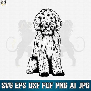 Labradoodle Svg, Labradoodle Clipart, Labradoodle Cricut, Labradoodle Cutfile, Labradoodle Vektor, Goldendoodle Svg, Labradoodle Mom Svg Png