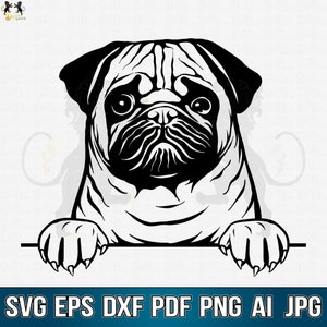 Pug Svg, Pug Clipart, Pug Vector, Pug Cricut, Pug Cutfile, Pug Dog Svg, Pug Mom Svg, Dog Paw Svg, Pug Peeking Svg, Pug Lover Svg, Dog Svg