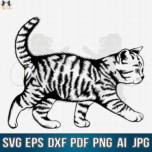 Cat Svg, Cute Cat Svg, Cat Clipart, Cat Cricut, Cat Cutfile, Peeking Cat Svg, Kitty Svg, Cat Printable, Cat Shirt Svg, Cat Vector,Kitten Svg