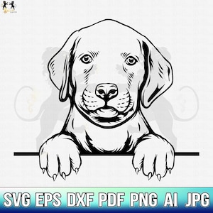 Puppy Labrador Svg, Labrador Retriever Svg, Labrador Clipart, Labrador Cricut, Labrador Cutfile, Labrador Vector, Dog Mom Svg Printable Png