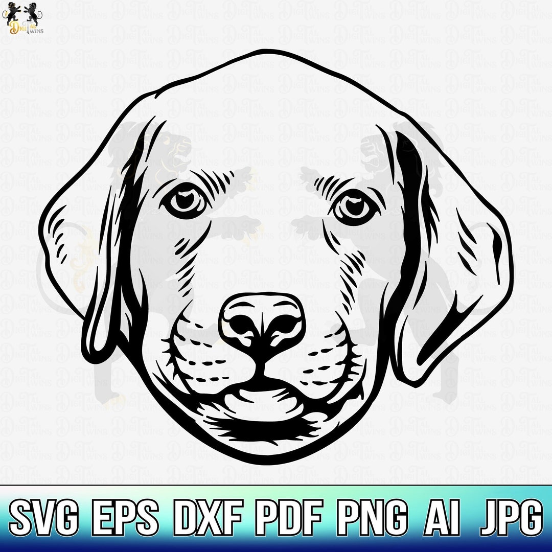 Lab Pit Mix Svg Puppy Labrador Svg, Labrador Retriever Svg, Labrador Clipart, Labrador ...