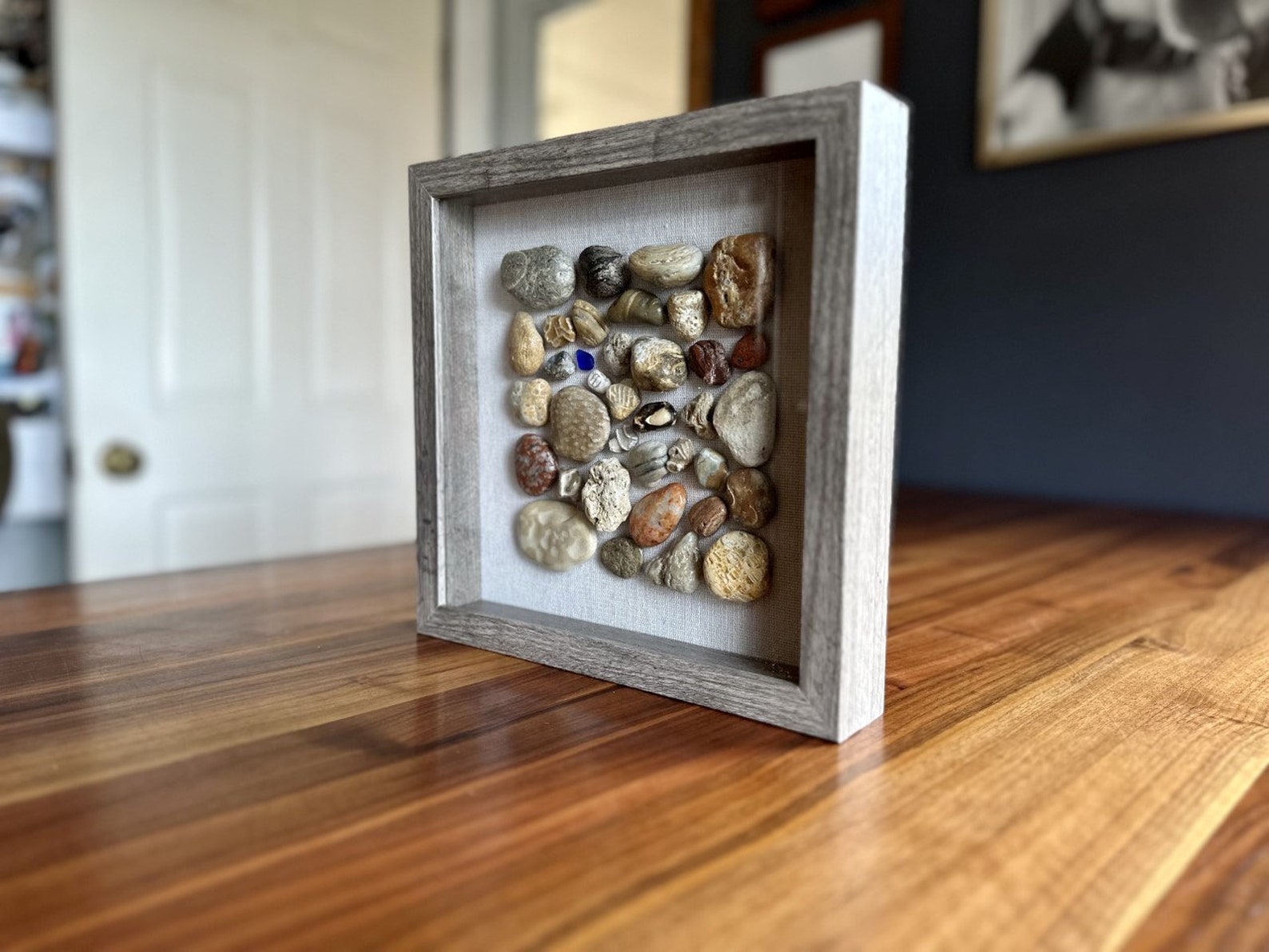 Lake Michigan Rocks and Fossils Shadowbox Etsy