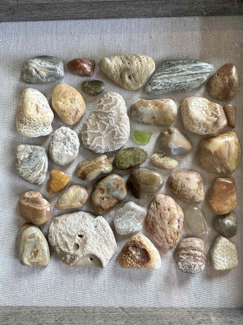 Lake Michigan Rocks and Fossils Shadowbox Etsy
