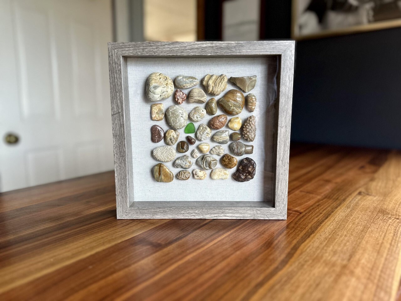 Lake Michigan Rocks and Fossils Shadowbox Etsy