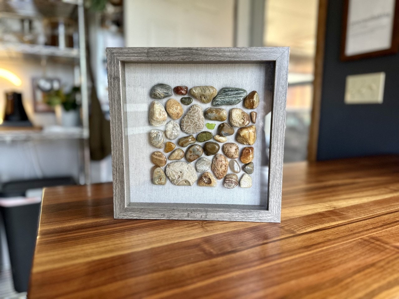 Lake Michigan Rocks and Fossils Shadowbox Etsy