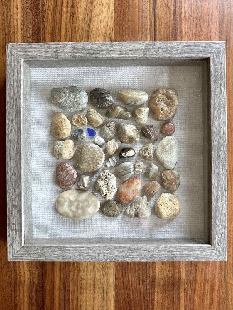 Lake Michigan Rocks and Fossils Shadowbox Etsy