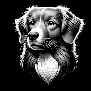 May include: A black and white illustration of a dog's head. The dog has a long, fluffy coat and a white patch on its chest.