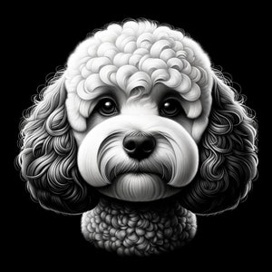 以下が含まれることがあります： ふわふわの白い巻き毛のプードルを白黒で描いたイラスト。プードルは真剣な表情で、直接見ています。