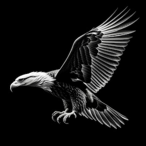 May include: A black and white illustration of a bald eagle in flight with its wings spread wide. The eagle's head is turned to the side, and its eyes are closed.