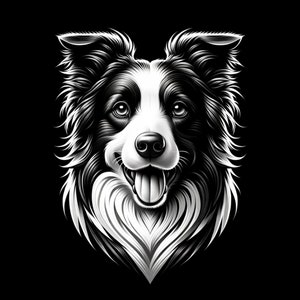 Border Collie, leisteengravure ontwerp, laserbestand, Coaster etsen, Amerikaans, Lightburn, Glow Forge, Xtool, Atomstack, Lightburn, laserkunst.