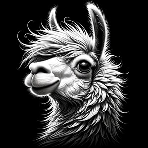 Op de afbeelding: Een zwart-witte illustratie van een lama met een pluche manen en een vriendelijke uitdrukking. Het hoofd van de lama is naar de zijkant gedraaid en zijn ogen kijken rechtstreeks naar de kijker.