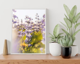090 Icelandic Landscape Wall Art - Lupin Flower Portrait - Home decor - Iceland Spring Photography - Iceland Photography - Digital Download