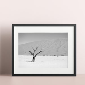 008 Namibian Landscape Africa print - Desert Wall art - Desert Photo - Sossuvlei Home Decor - Wild nature room decor - Africa download