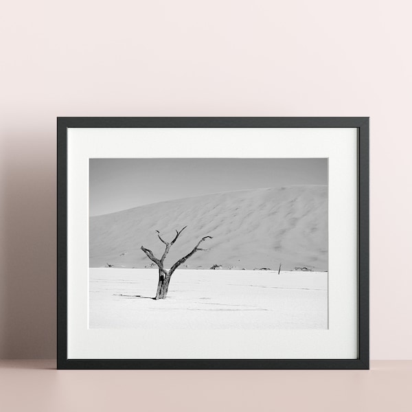 008 Namibian Landscape Africa print - Desert Wall art - Desert Photo - Sossuvlei Home Decor - Wild nature room decor - Africa download