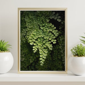 077 Maidenhair Fern Portrait Photography - Green Plant Wall Art - Garden Photography - Botanic fern art Photography Digital Download