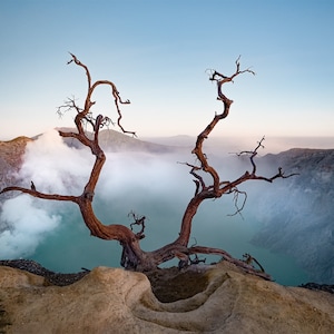 Può includere: Un albero morto con rami contorti si erge su una scogliera che domina un cratere vulcanico pieno di acqua turchese e fumo bianco.