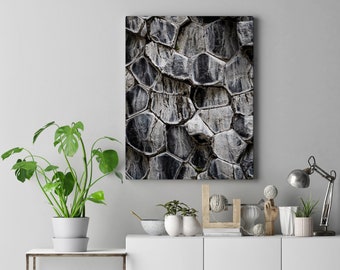 037 Icelandic Details - Wall Art - Volcano view - Black Basalt Photography - Original Iceland Photography - Digital Download Rock Macro