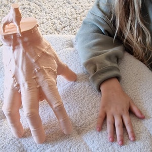 Op de afbeelding: Een 3D-geprint handbeeld met een realistisch, gedetailleerd ontwerp. De hand is geposeerd met gestrekte vingers en lijkt gemaakt te zijn van lichtroze materiaal.